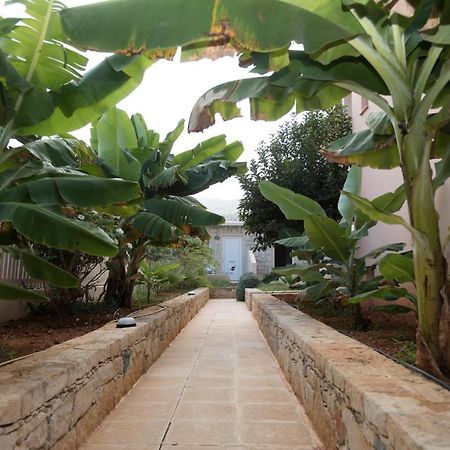 Sunset Apartments Malia Extérieur photo