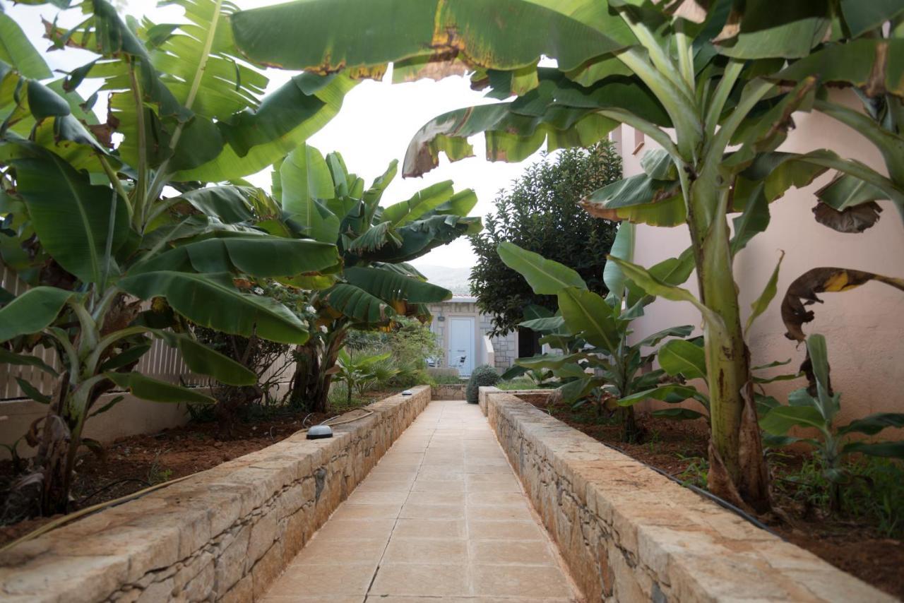 Sunset Apartments Malia Extérieur photo